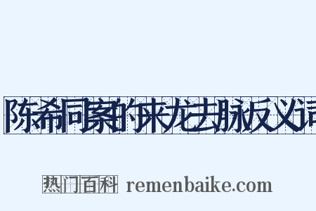 陈希同案的来龙去脉反义词是什么意思的图片